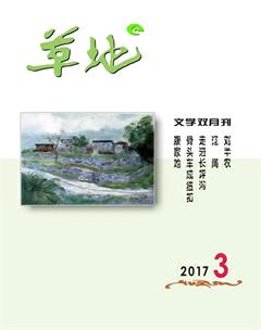 草地2017年3期