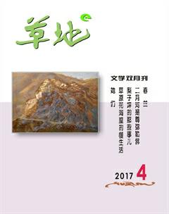 草地2017年4期