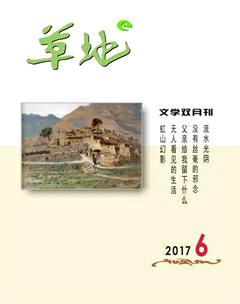 草地2017年6期