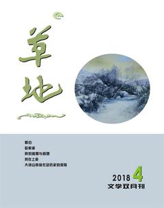 草地2018年4期