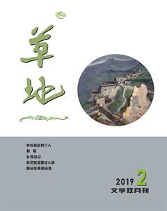 草地2019年2期