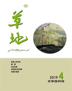 草地2019年4期