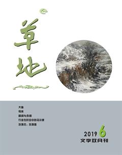 草地2019年6期