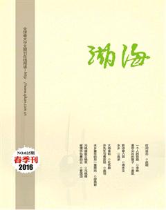 湖海·文学版2016年1期