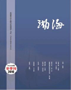 湖海·文学版2016年4期