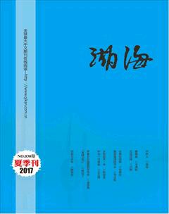湖海·文学版2017年2期
