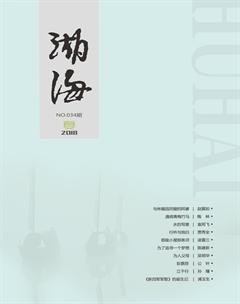 湖海·文学版2018年2期