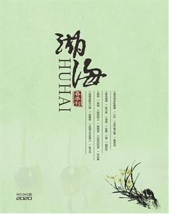 湖海·文学版2020年1期