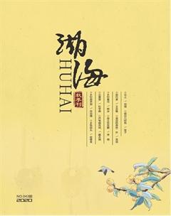 湖海·文学版2020年3期