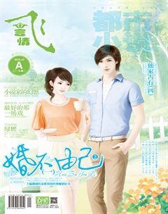 飞言情A2013年7期