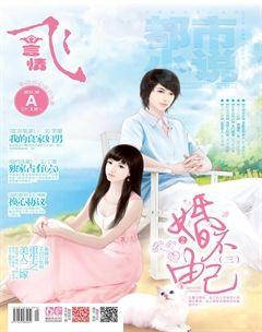 飞言情A2013年9期