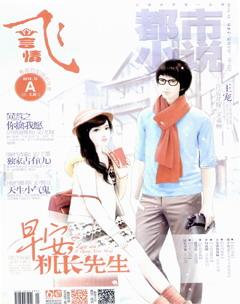 飞言情A2013年12期