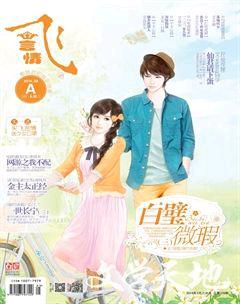 飞言情A2014年3期