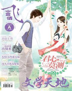 飞言情A2014年6期