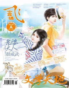 飞言情A2014年8期