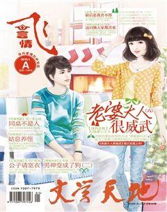 飞言情A2015年1期
