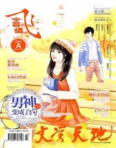 飞言情A2015年2期
