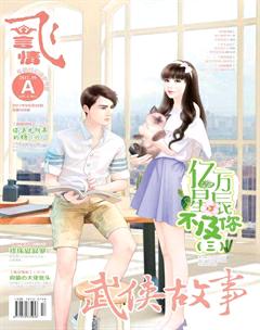 飞言情A2017年9期