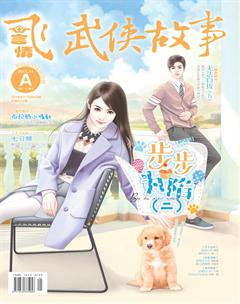 飞言情A2018年11期