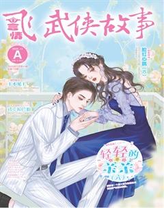飞言情A2020年11期