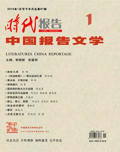 时代报告·中国报告文学2014年1期