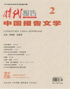 时代报告·中国报告文学2014年2期
