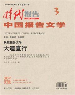 时代报告·中国报告文学2014年3期