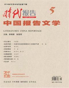 时代报告·中国报告文学2014年5期