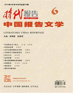 时代报告·中国报告文学2014年6期