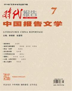 时代报告·中国报告文学2014年7期