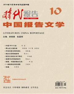 时代报告·中国报告文学2014年10期