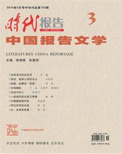 时代报告·中国报告文学2015年3期