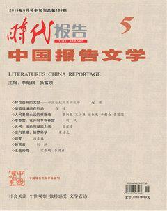 时代报告·中国报告文学2015年5期