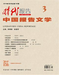 时代报告·中国报告文学2016年3期