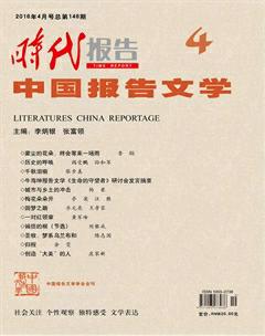 时代报告·中国报告文学2016年4期