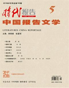 时代报告·中国报告文学2016年5期