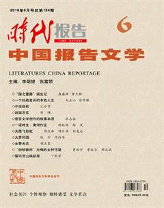 时代报告·中国报告文学2016年6期
