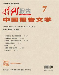 时代报告·中国报告文学2016年7期