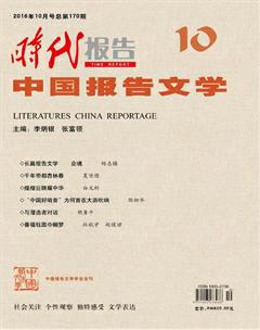 时代报告·中国报告文学2016年10期