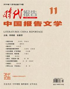 时代报告·中国报告文学2016年11期