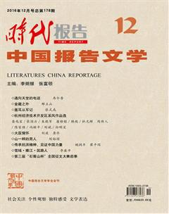 时代报告·中国报告文学2016年12期