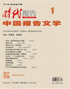 时代报告·中国报告文学2017年1期