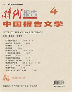 时代报告·中国报告文学2017年4期