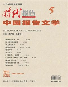 时代报告·中国报告文学2017年5期
