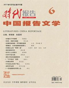 时代报告·中国报告文学2017年6期
