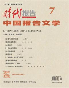时代报告·中国报告文学2017年7期