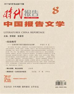 时代报告·中国报告文学2017年8期