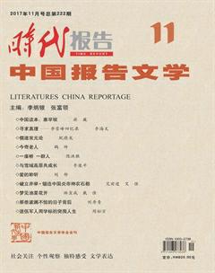 时代报告·中国报告文学2017年11期