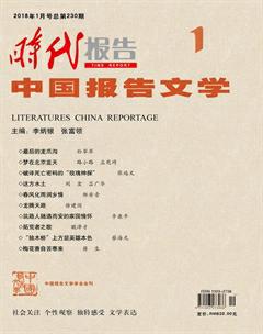 时代报告·中国报告文学2018年1期