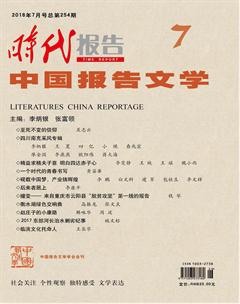 时代报告·中国报告文学2018年7期